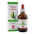 kos ficus carica macerato glicerico 100 ml - integratore per la funzione digestiva