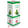 ficus carica macerato glicerico 100 ml