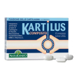 kartilus composto integratore per la funzione articolare 40 compresse