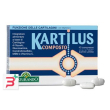 kartilus composto 40 compresse