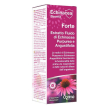 echinacea estratto fluido ft