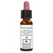 erba vita flower 39 rimedio omeopatico calmante 10 ml
