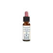 erba vita essenza floreale 39 1 pz gocce