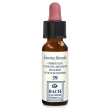 flower 39 gtt 10ml         ebv
