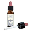aspen original 10ml gtt