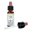 cherry plum original 10ml gtt