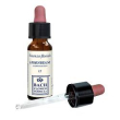 hornbeam original 10ml gtt