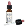 mimulus original 10ml gtt
