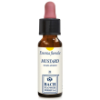 mustard original gocce 10 ml