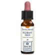 scleranthus origin 10ml gtt ebv