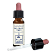 scleranthus origin 10ml gtt ebv