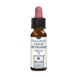 star of bethlehem 10ml gocce