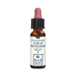 star of bethlehem 10ml gocce - soluzione idroalcolica floreale