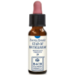 star of bethlehem 10ml gocce - soluzione idroalcolica floreale