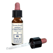 sweet chestnut original 10 ml gocce orali
