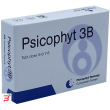 psicophyt remedy 3b 4 tubi 1,2 g