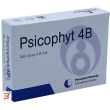 psicophyt remedy 4b 4 tubi 1,2 g