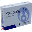 psicophyt remedy 5b 4 tubi 1,2 g