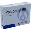 psicophyt remedy 9b 4 tubi 1,2 g