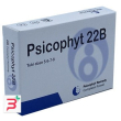 psicophyt remedy 22b 4 tubi 1,2 g