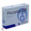 psicophyt remedy 23b 4 tubi 1,2 g