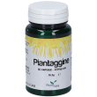 piantaggine 60 capsule pz