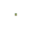 solidago 60 capsule pz
