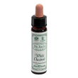ainsworths white chestnut 10ml