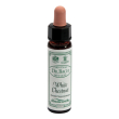 white chestnut 10ml ainsworths