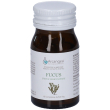 fucus capsule 500mg 30 g