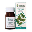 uncaria 60cps 500mg