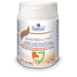 v gastronorm 32cpr