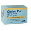 ciellea pet 60 perle