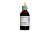 giallo terra sol ial 100ml