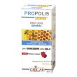 propoli srp or bimb 15ml 15 ml spray orale