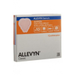 allevyn sacrum 17x17cm 10pz