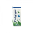 floligogem 15 30ml gtt homeose