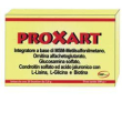 proxart smp 20bust