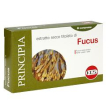 fucus e.s. 60 cpr 112mg kos
