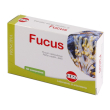 fucus estr sec 60cpr