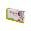 kos fucus estratto secco compresse 60 pz