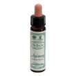 ainsworths agrimony 10ml