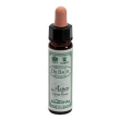 ainsworths aspen 10ml