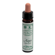 aspen 10ml ainsworths