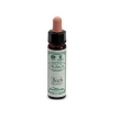 ainsworths beech 10ml
