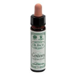 ainsworths centaury 10ml