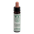 centaury 10ml ainsworths