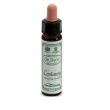 centaury 10ml ainsworths