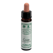 cerato 10ml ainsworths