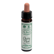 ainsworths dr.bach n°6 cherry plum prunus cerasifera 10 ml gocce orali